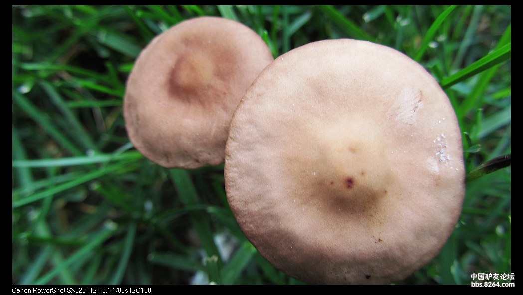 第二十七期相约棒槌岛活动回顾