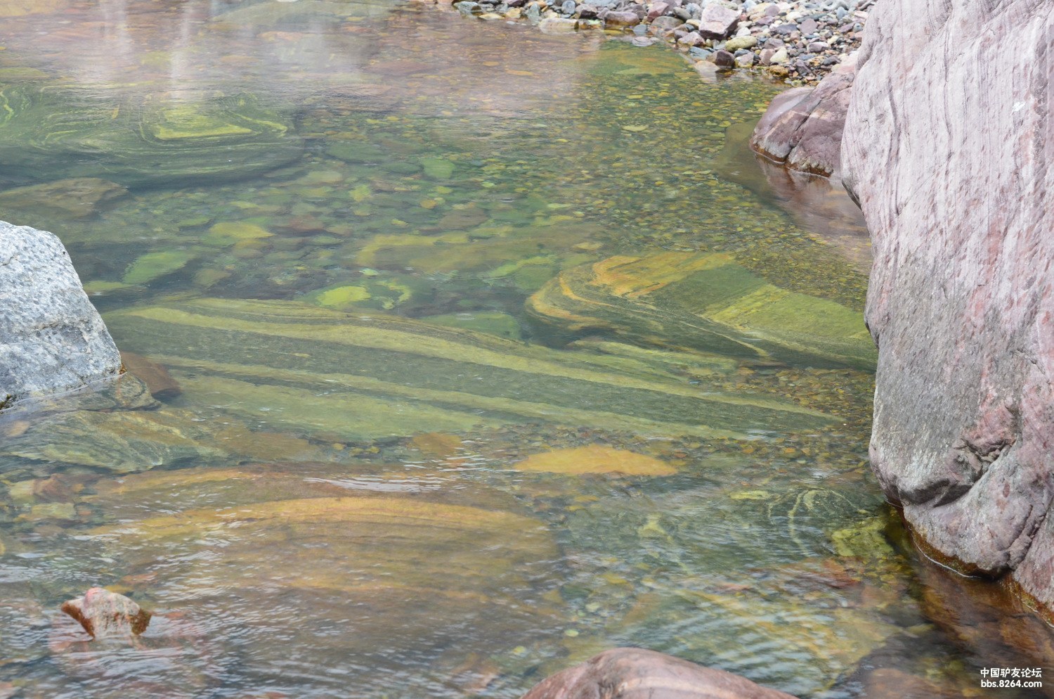 043 河底五彩斑斓的石头.jpg