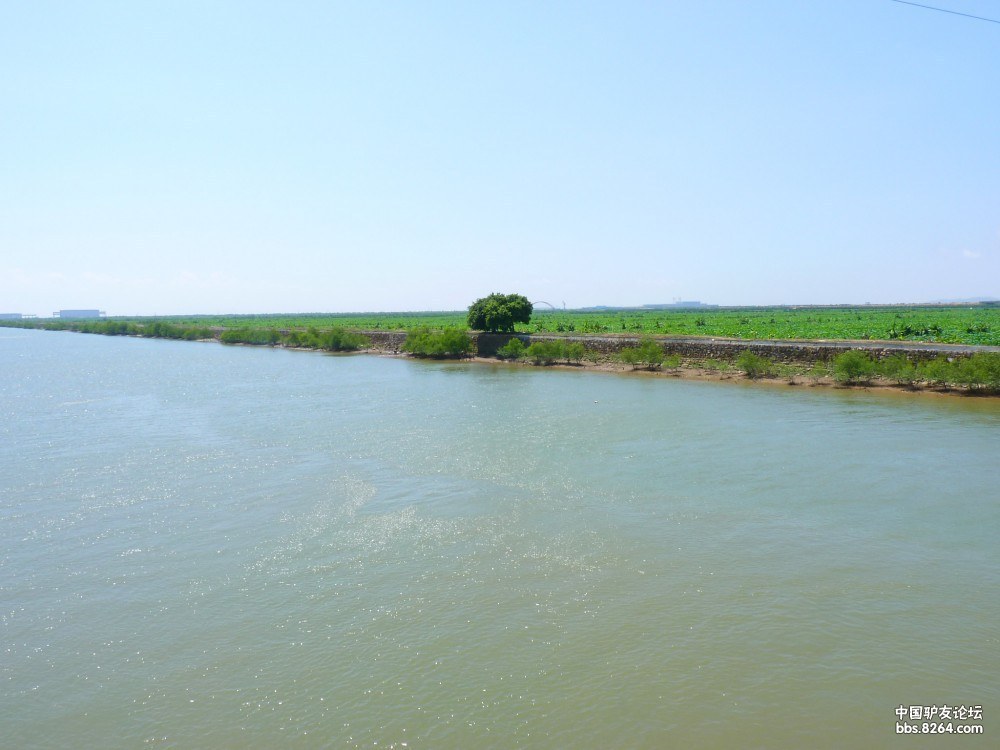 6月30日横门岛荷花世界(作业贴)