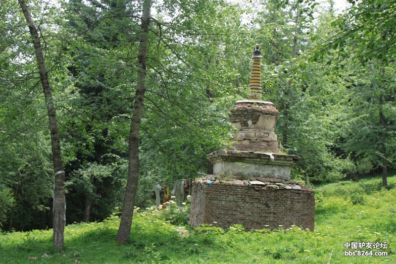 央宗寺修身的净土 文:芒果