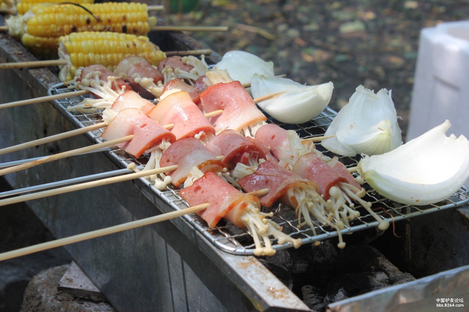 附近小树林烧烤羊肉串烤鸡翅烤鱿鱼很嗨皮哈哈