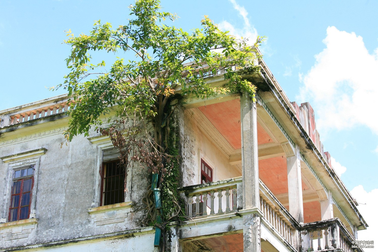 百年村落 碉楼沧桑——开平荣桂坊(分享)