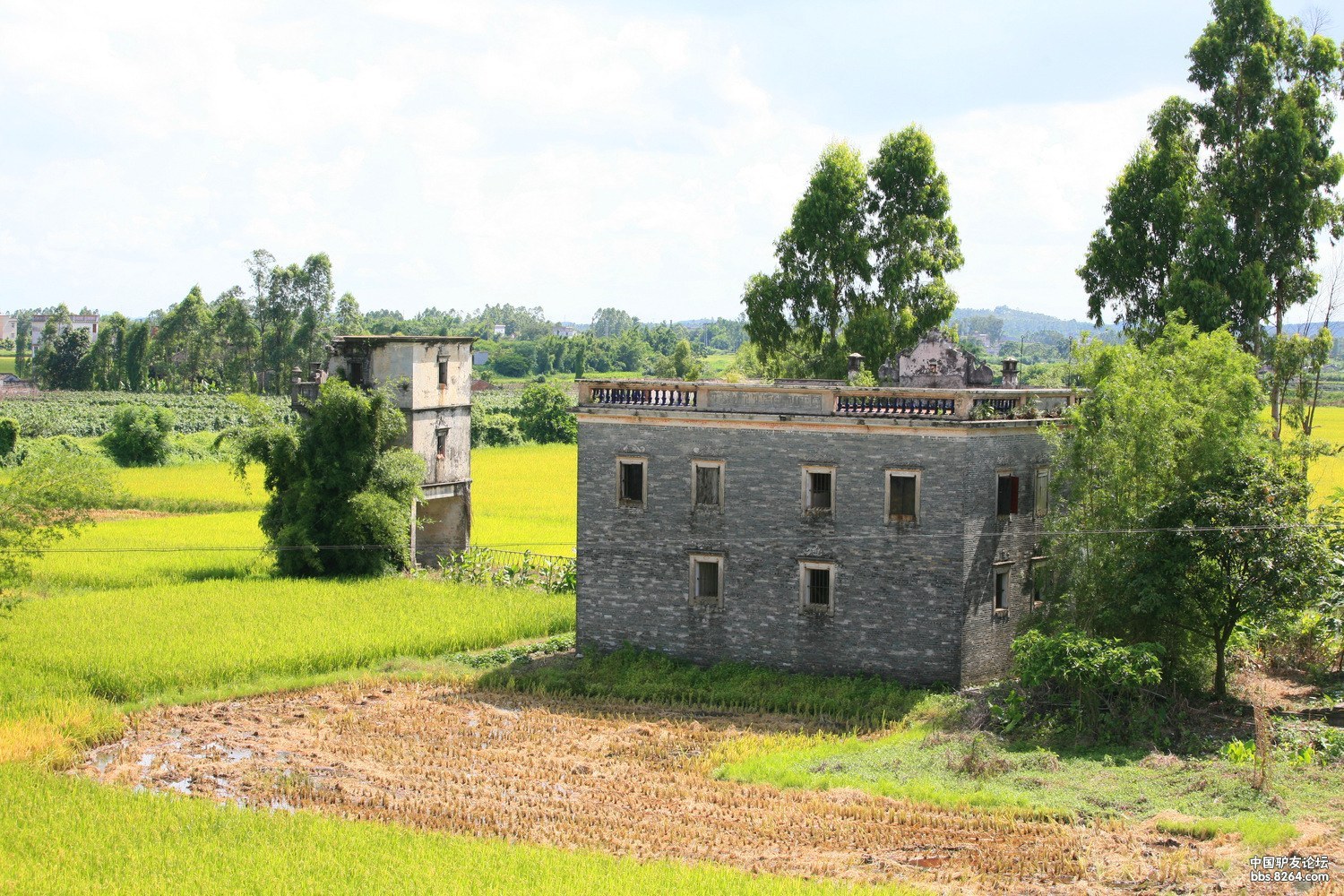 百年村落 碉楼沧桑——开平荣桂坊(分享)