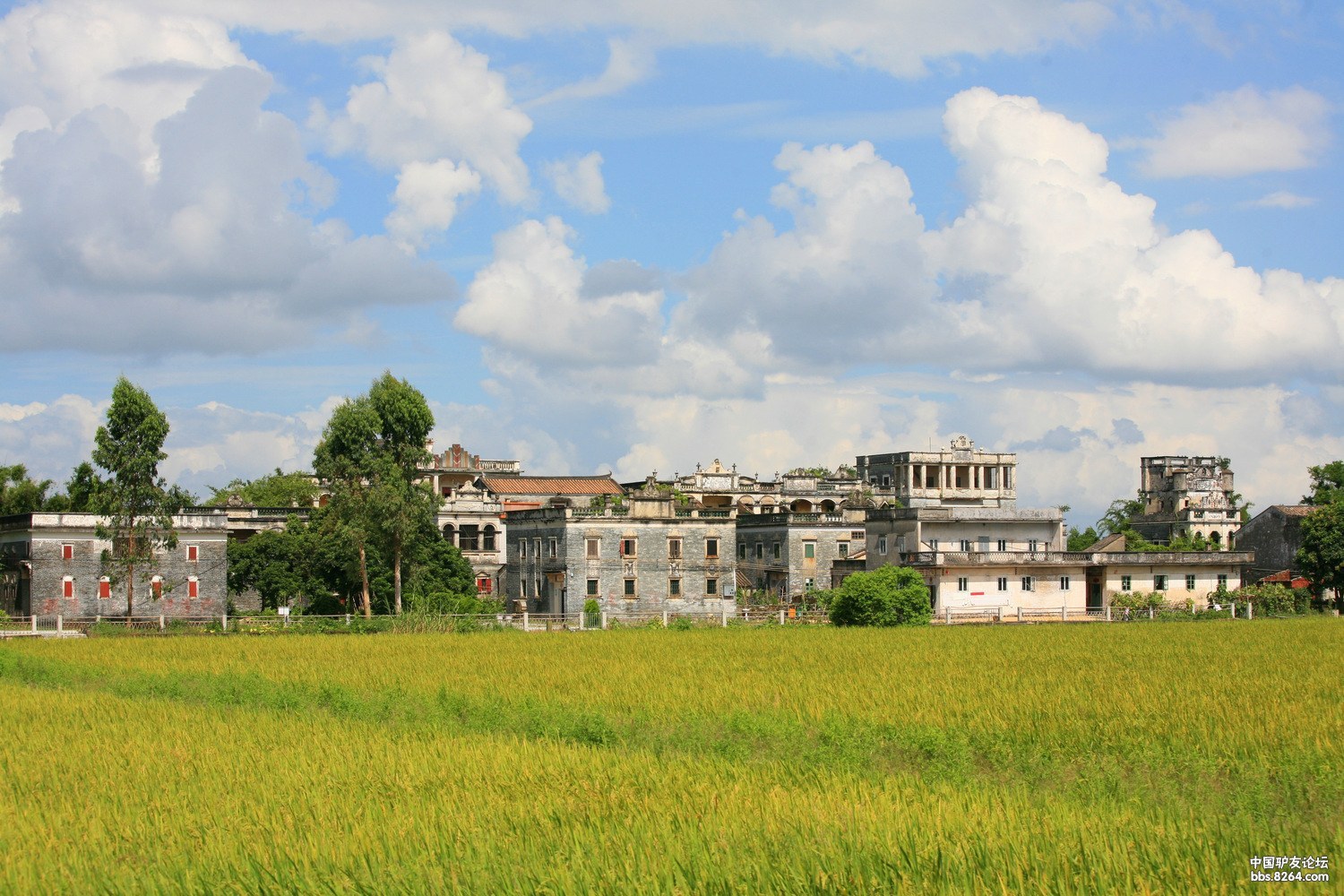 百年村落 碉楼沧桑——开平荣桂坊(分享)