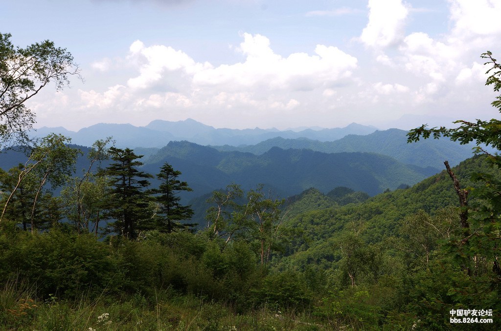 迷人的鳌山(发图完毕,欢迎浏览) - 第1页 - 陕西 - 8264户外