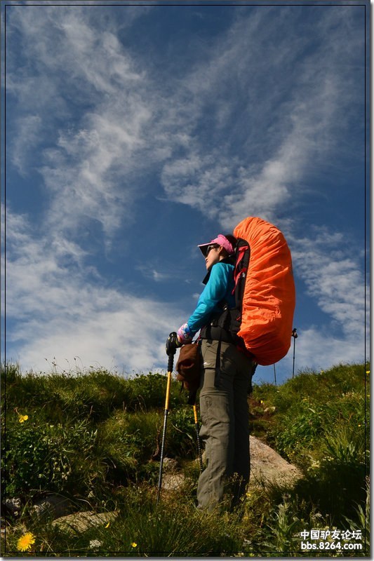 行者户外徒步穿越小五台山漫步金莲花海去放松自己僵硬的身体放逐自己
