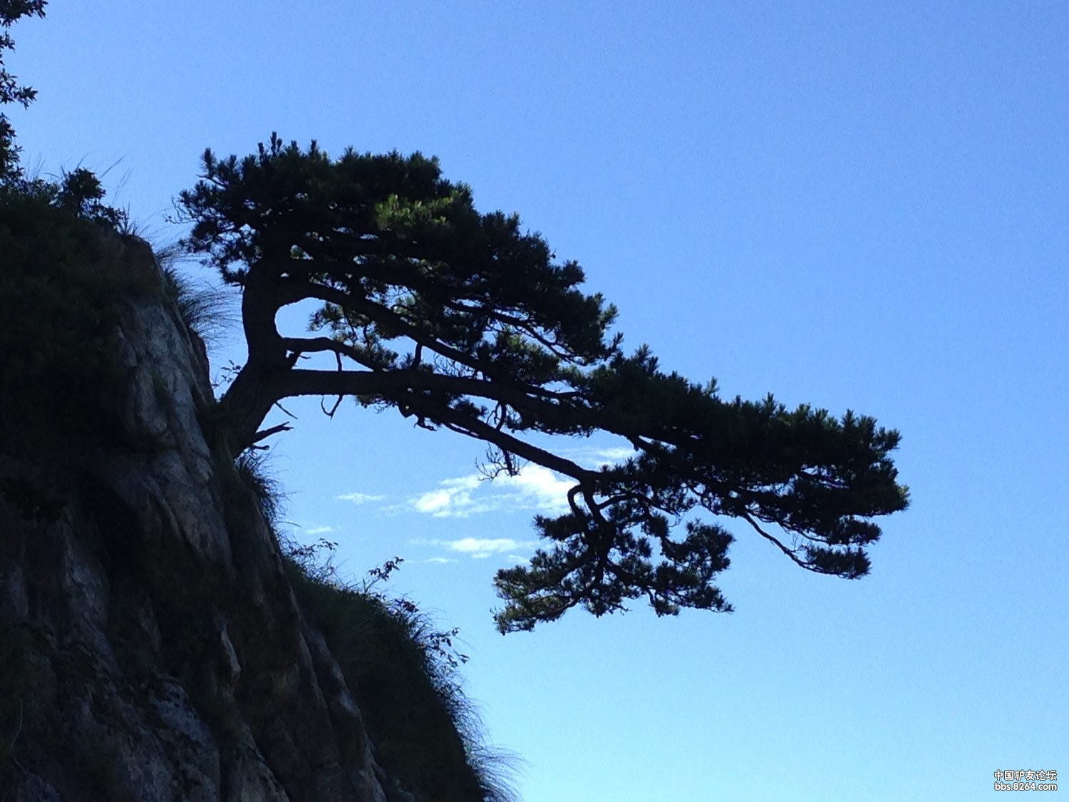 罗汉峰饭甑尖之夏