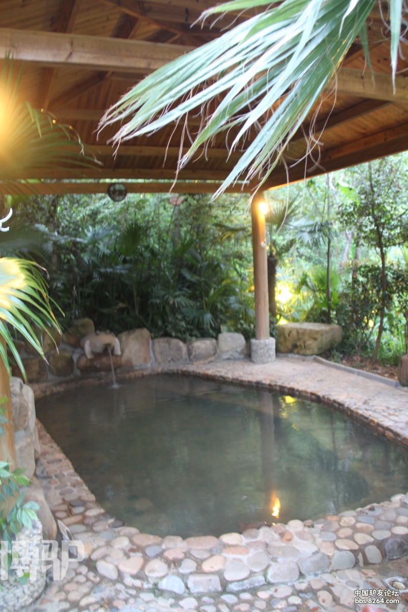 大武夷旅游邵武瀑布林温泉夏季温泉活动紧急召集