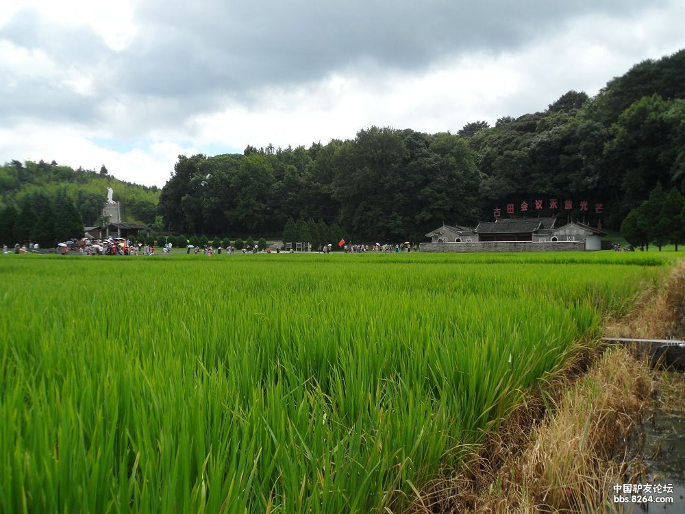 福建龙岩古田