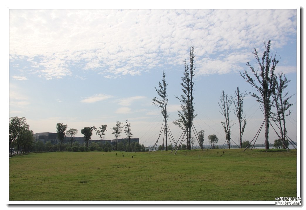 徒步,骑行,露营好去处:漕湖湿地公园