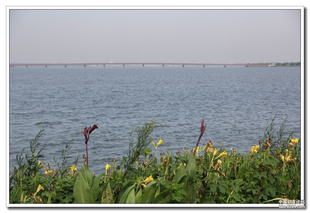 徒步,骑行,露营好去处:漕湖湿地公园