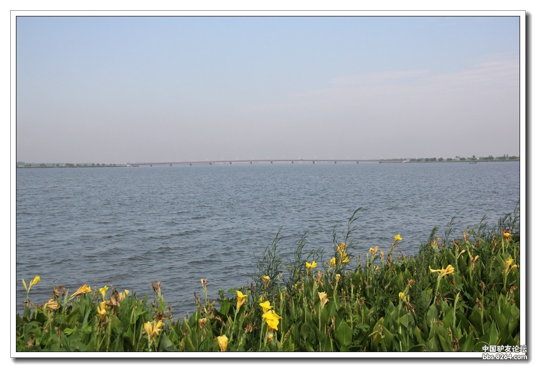 徒步,骑行,露营好去处:漕湖湿地公园