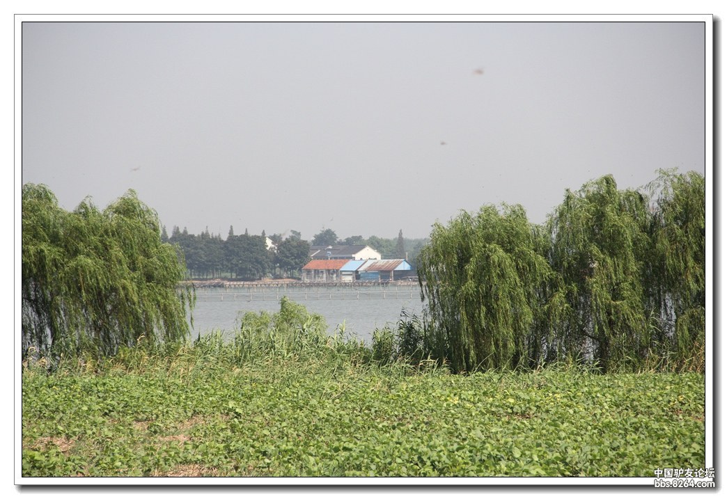 徒步,骑行,露营好去处:漕湖湿地公园