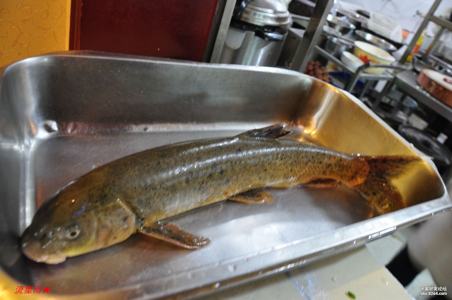 行者无疆西藏篇川滇藏线越野车进藏