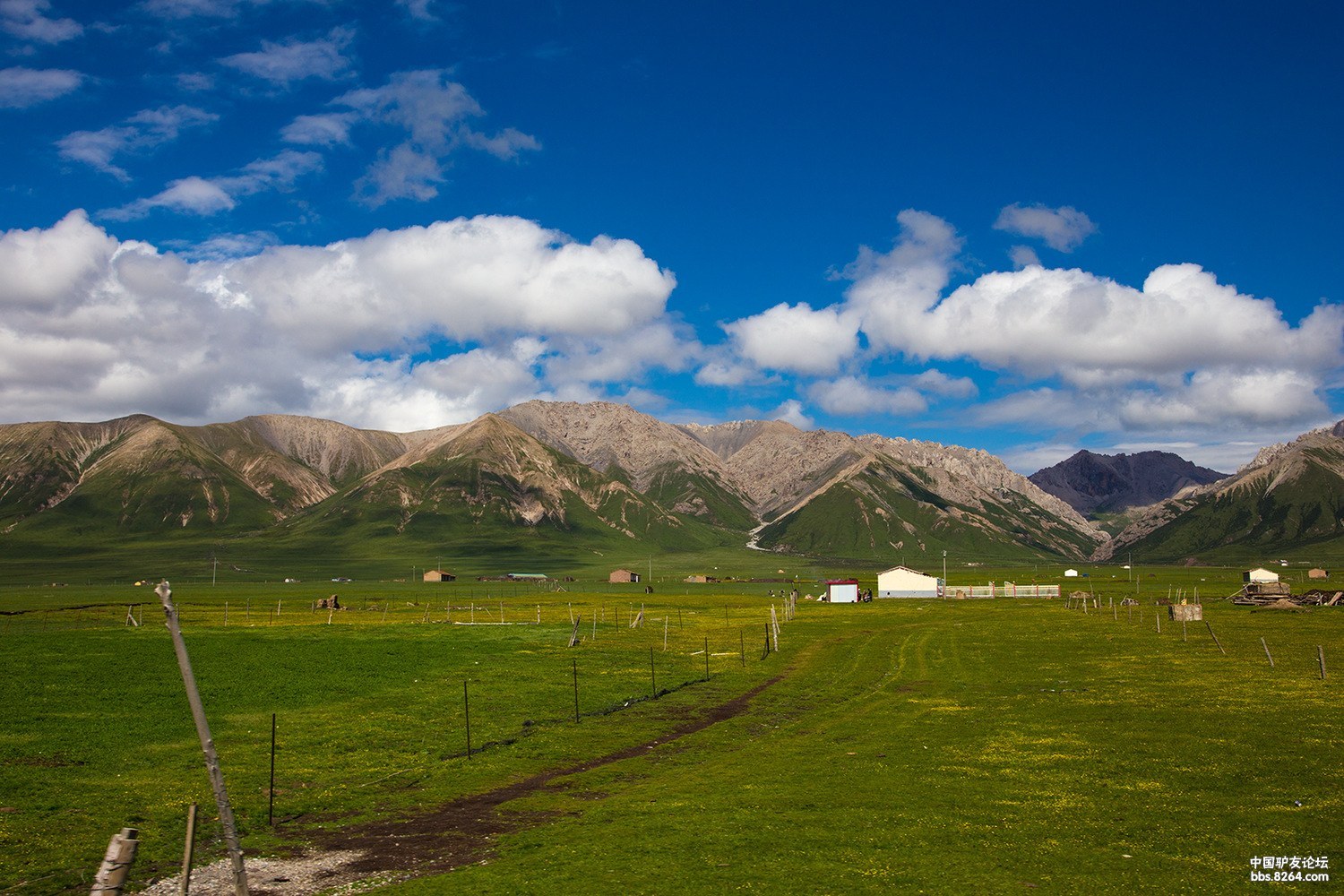 烟雨中行走安多藏区九色甘南绚丽川北大美青海