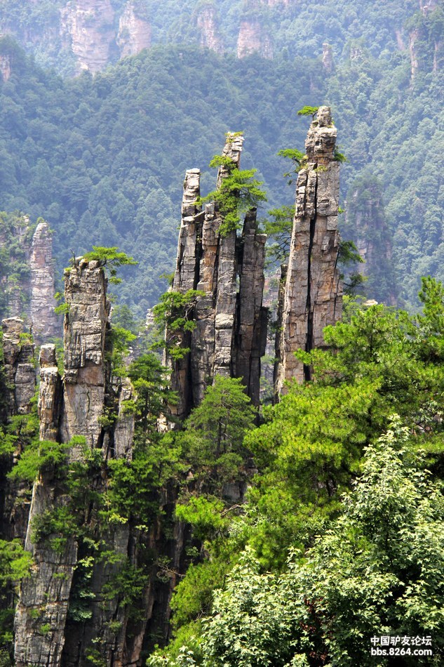 奇异峰林,尽在张家界森林公园 - 第页 - 江苏 - 户外资料网