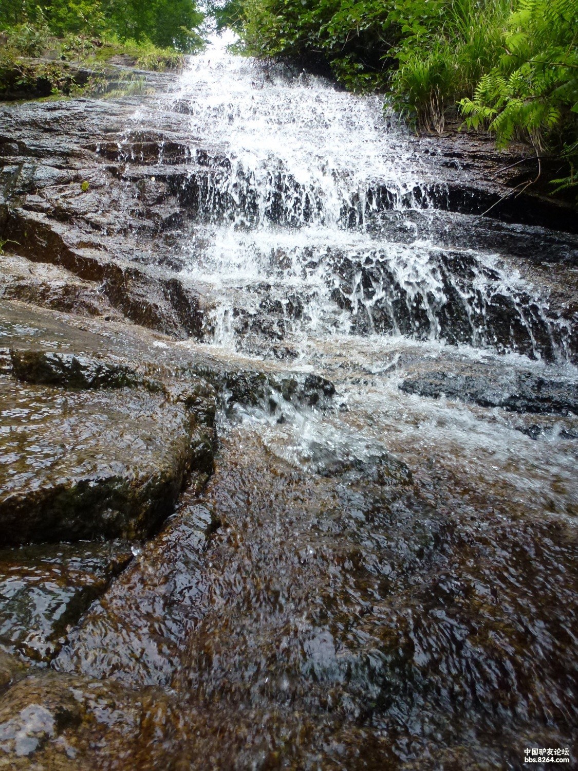 美丽的本溪县草河掌镇欢迎您!