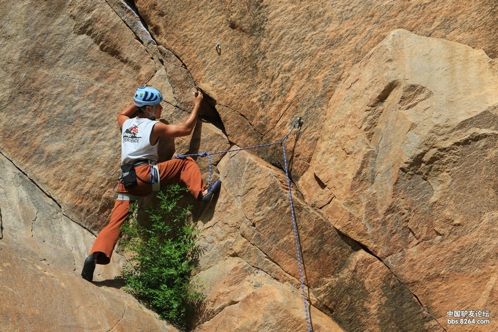 [菊花社] 北京白河攀岩速降,岩壁上的舞者