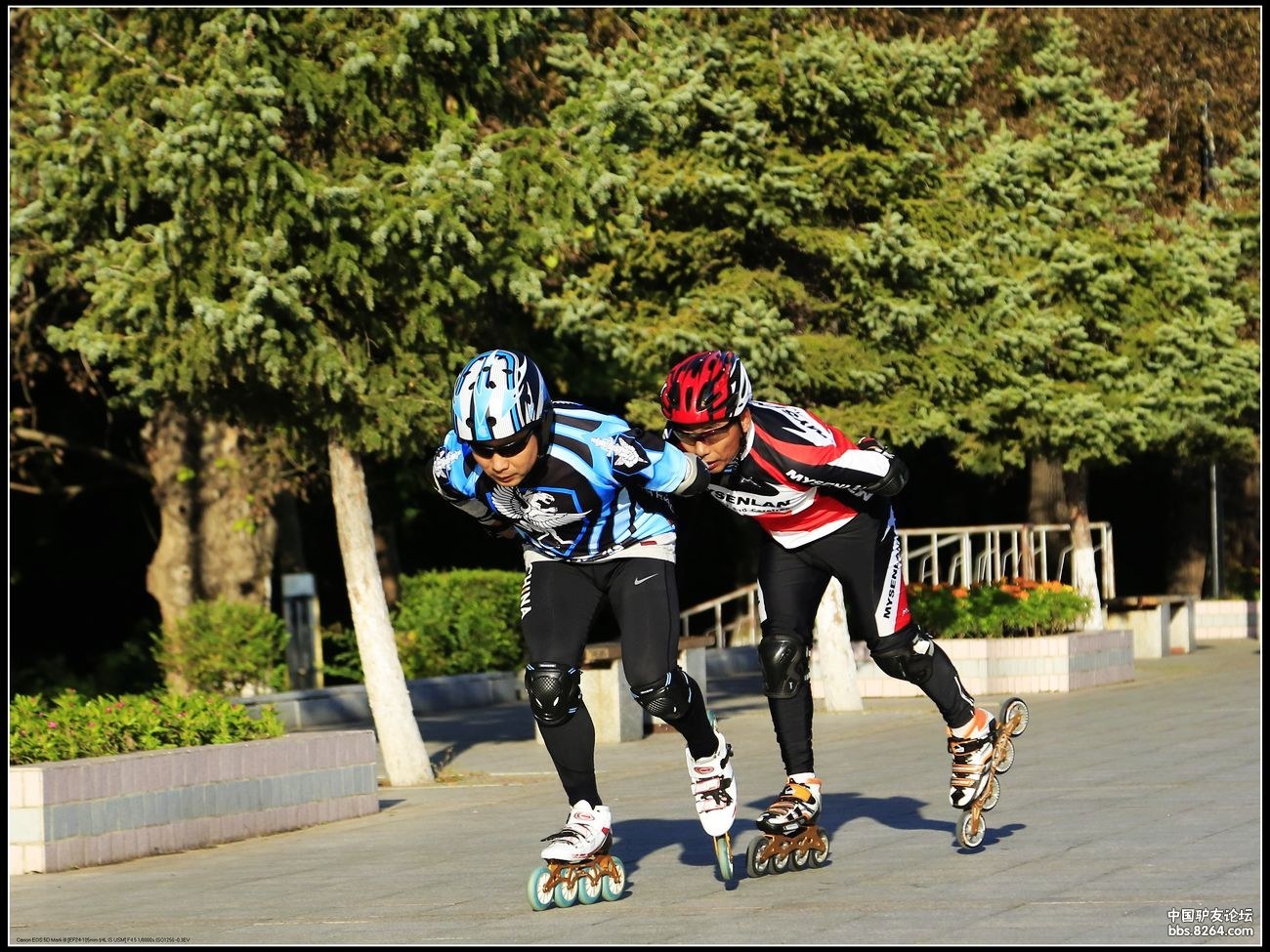 滑轮滑——晨练黑龙江畔