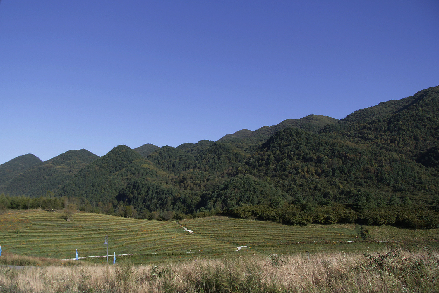 重庆市第三届山地自行车比赛花絮