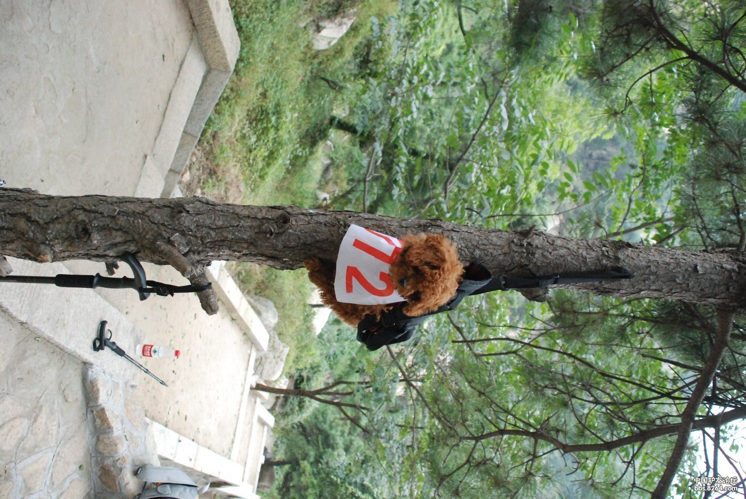 原始地壳-科马提岩-中国-莲花山