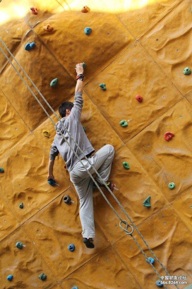 天天向上,一心一意向上爬,一群爱攀岩的人--沈版岩友福利作业贴