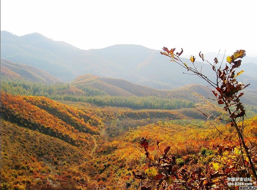 户外联盟丹东版10月19日蚂蚁岭山地穿越活动