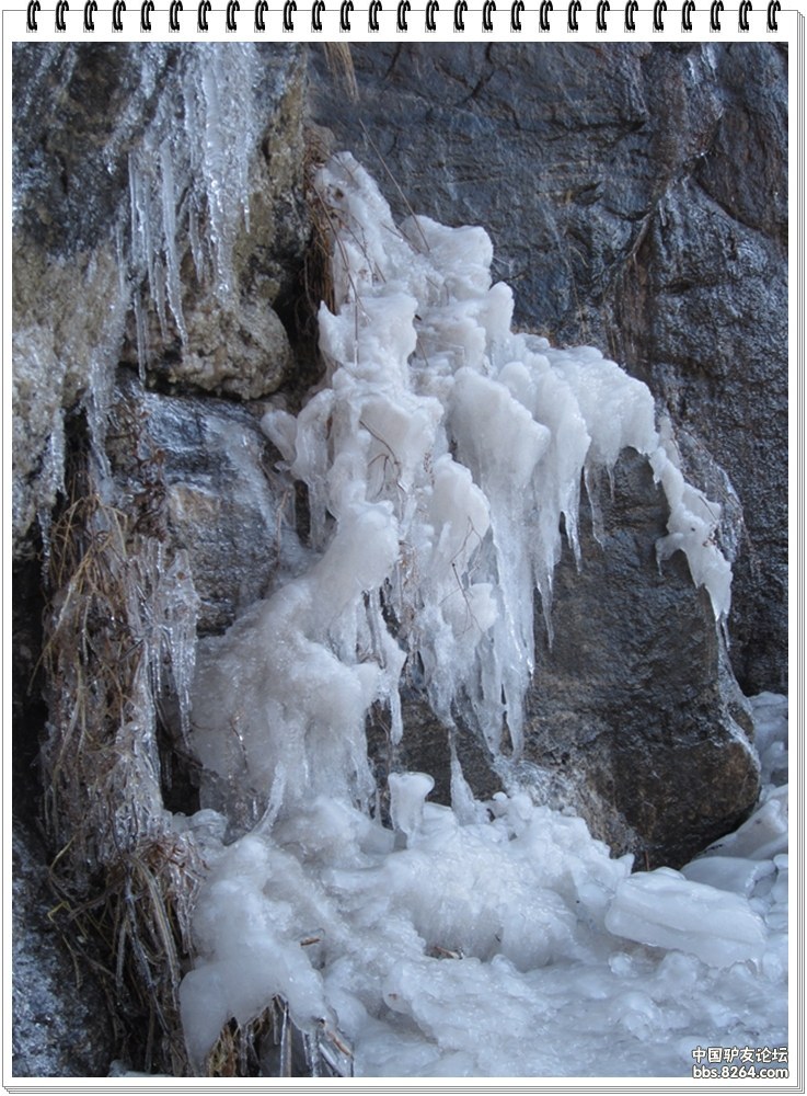 冰凝霜华,最美绽放在悬崖