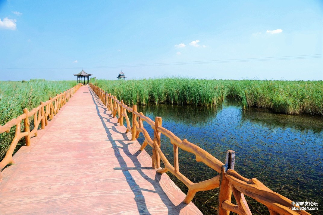 穿越火线电视剧剧情_穿越烽火线电视剧_火线青春微电影