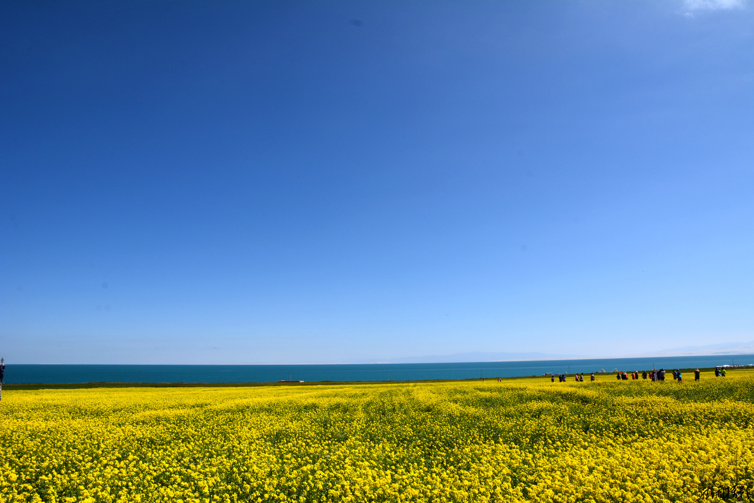 美丽的天堂泪珠--青海湖