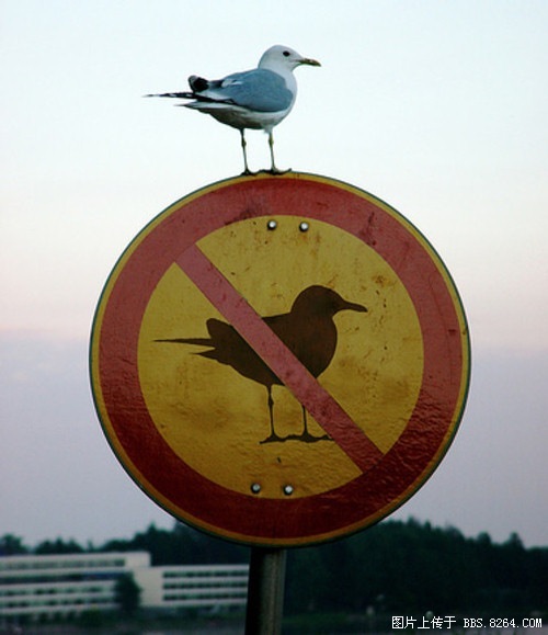 50张震撼人心的摄影作品转