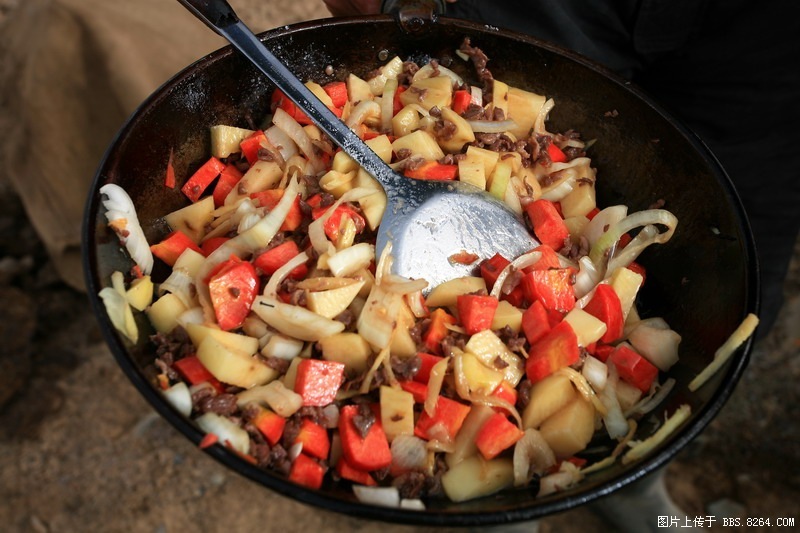地道大柴旦手抓饭and若干