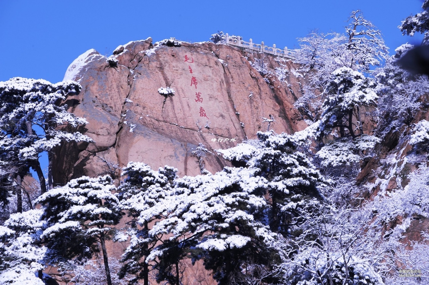 2008年的第一场雪我的家乡鞍山千山风景区