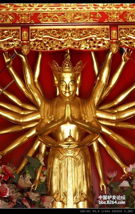 亭中头戴毗螺帽(五佛冠)的24臂观世音菩萨像(偷拍的)