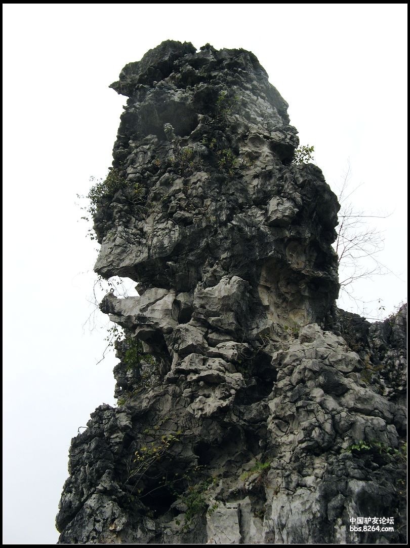 马山金钗石景林一日游功略