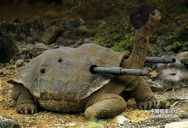 新一代生物武器