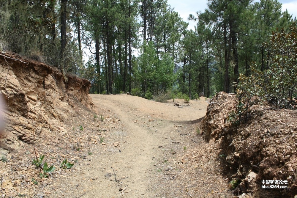 一个人的穿越——泸沽湖至亚丁攻略 地图 图片.看了你就能走.