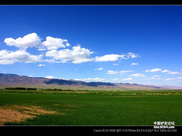 丝路记忆1300公里的魅力平原高原草原沙漠风景照片版