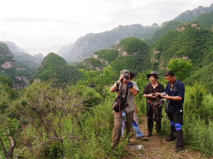 里,响起银铃般的欢笑声,苍松翠绿,万种风情的灵山陶醉了一群赶山人