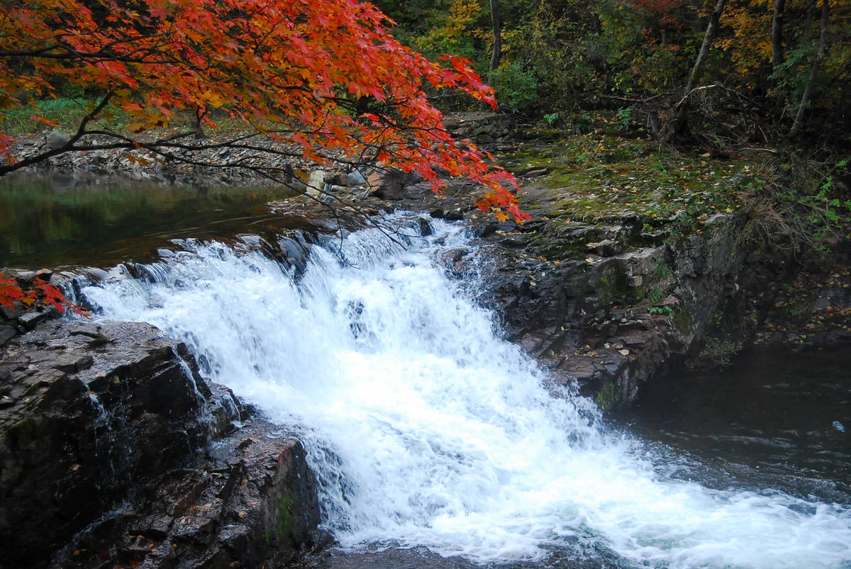 十一汤沟行 (529).jpg