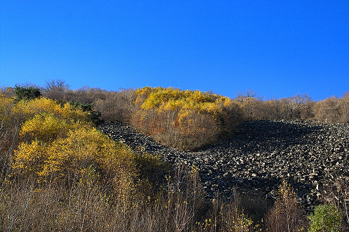 深秋的"八面威"