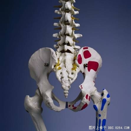 动态背负系统漫谈(占个坑,未完成的讨论版)