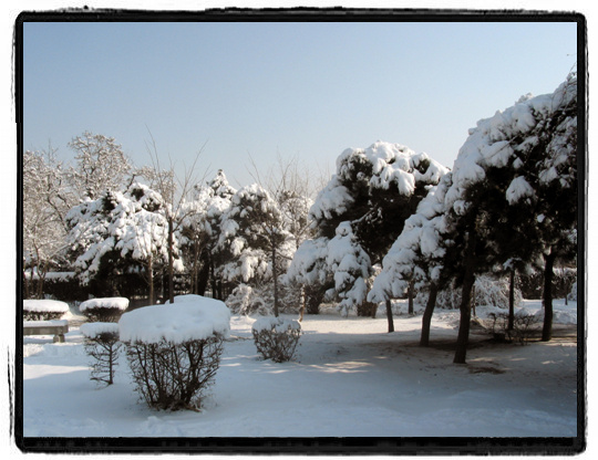 2005年的第一场雪组图