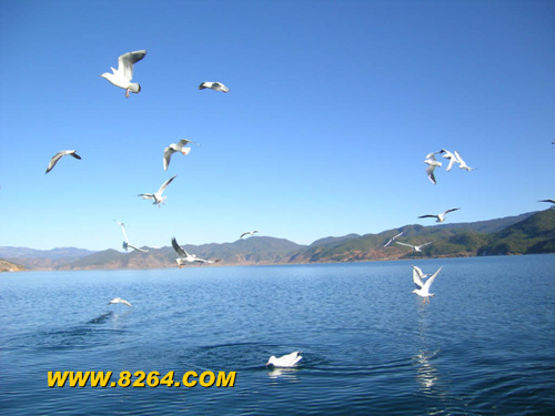 梅里:雪神的仪仗队    5.黄山:上帝的盆景    6.